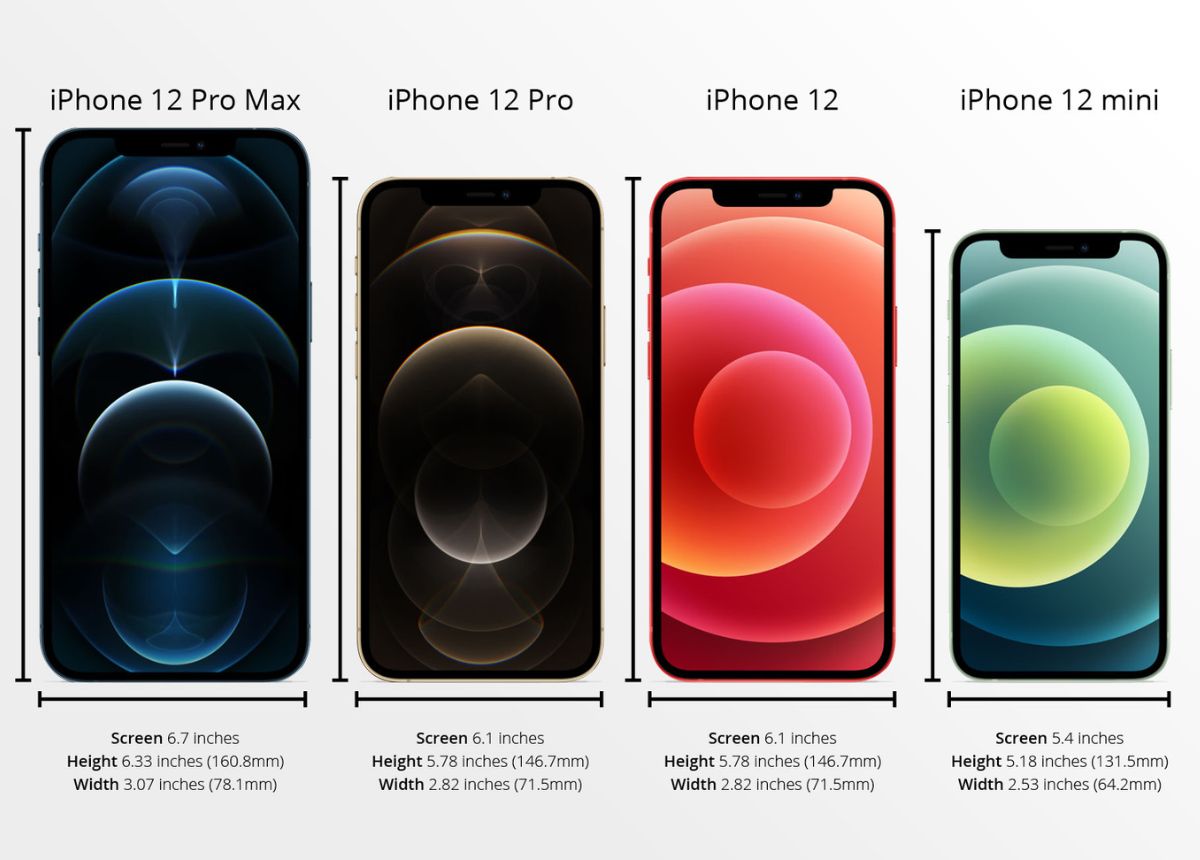 iPhone 12, 12Pro, 12 Pro Max What Are Their Sizes in Inches? Mytour