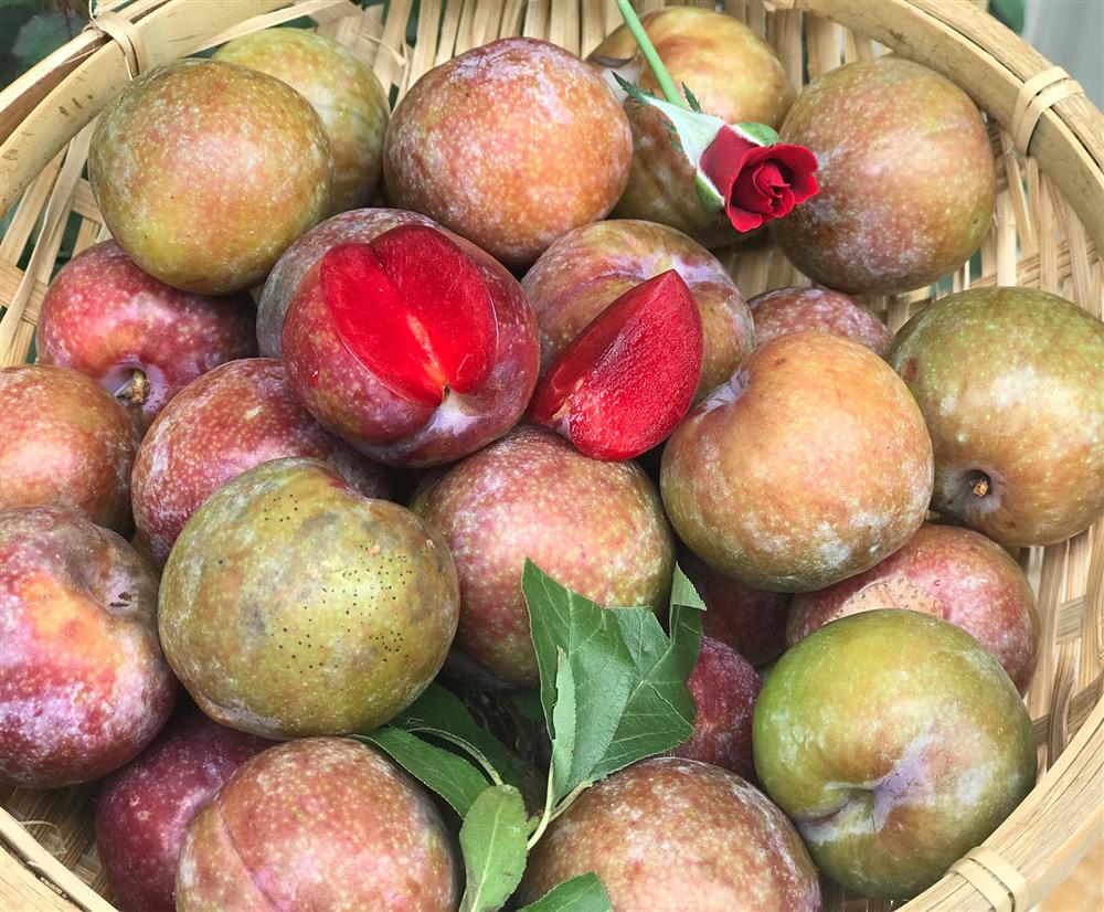 How many calories in 100g of plums? Is eating plums fattening? Mytour