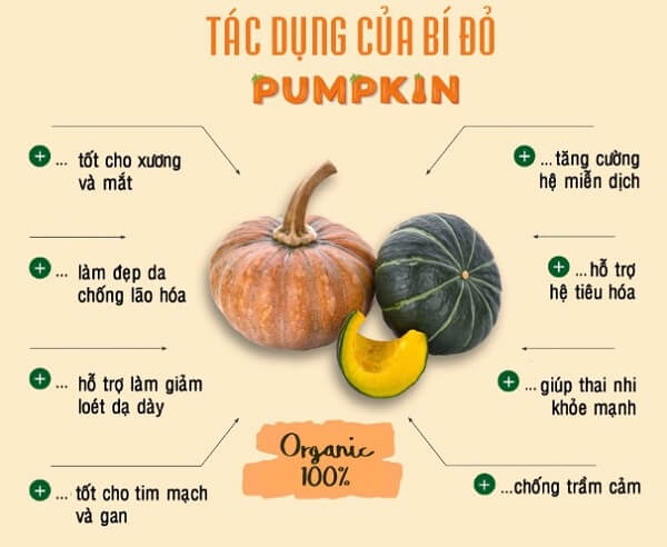 Tác Dụng Của Bí Ngô