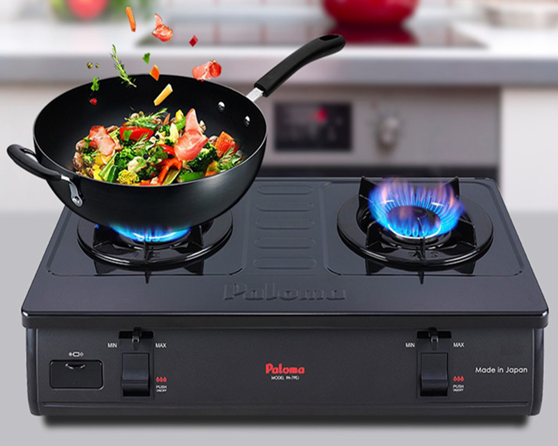 Comparing Rinnai and Paloma Gas Stoves