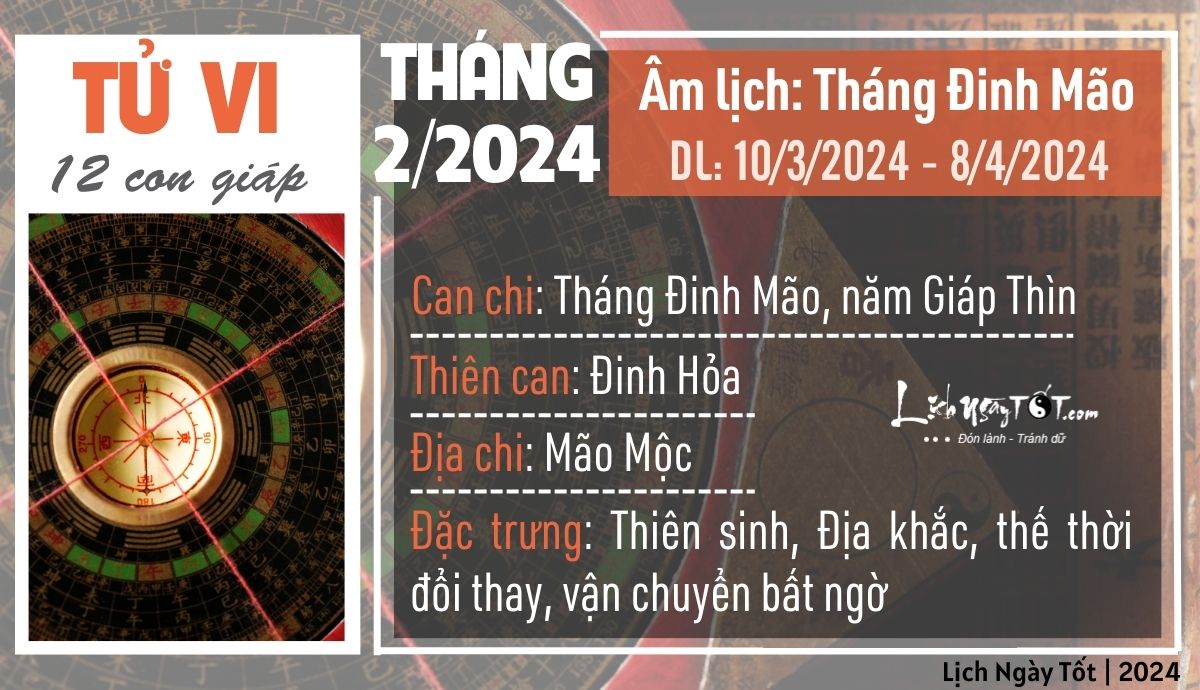 Kết Luận và Lời Khuyên Tổng Thể