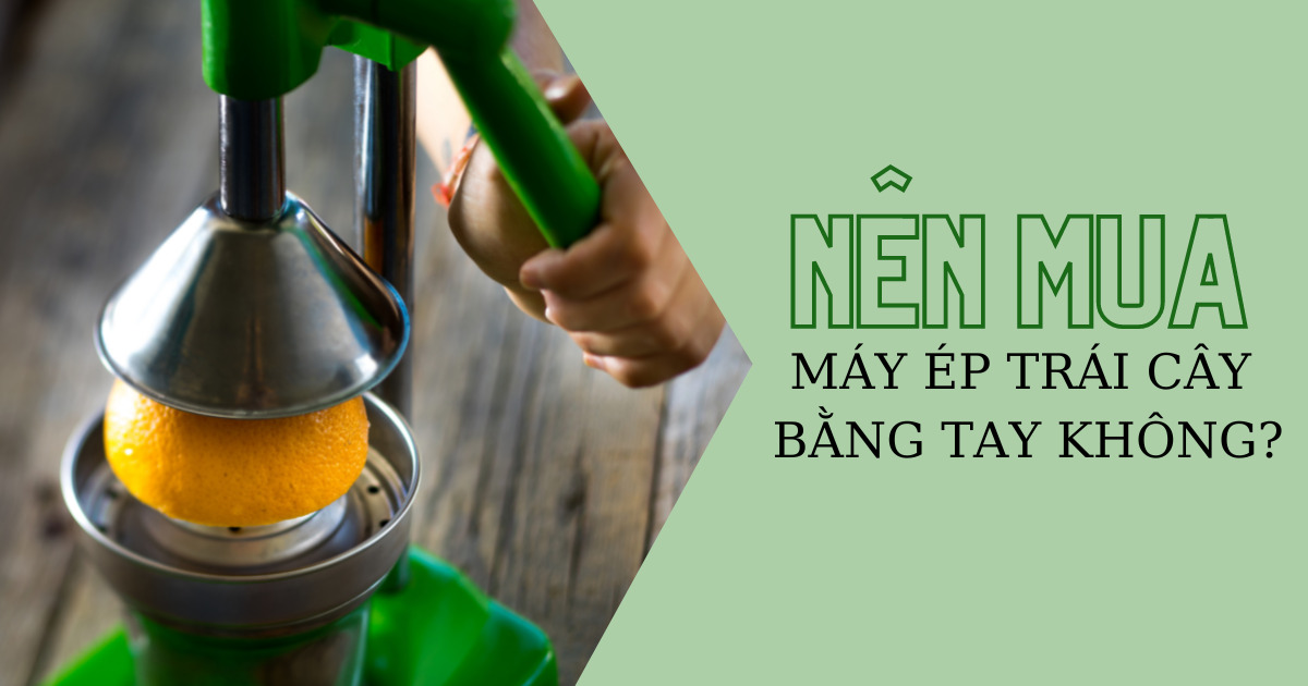 What is a manual fruit juicer? Should I invest in a manual fruit juicer?