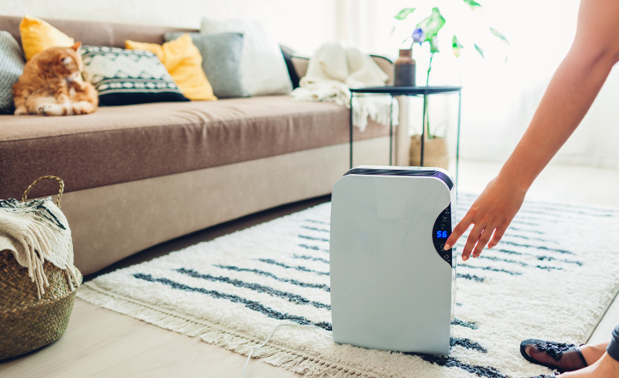 Effective Tips to Quiet a Noisy Dehumidifier