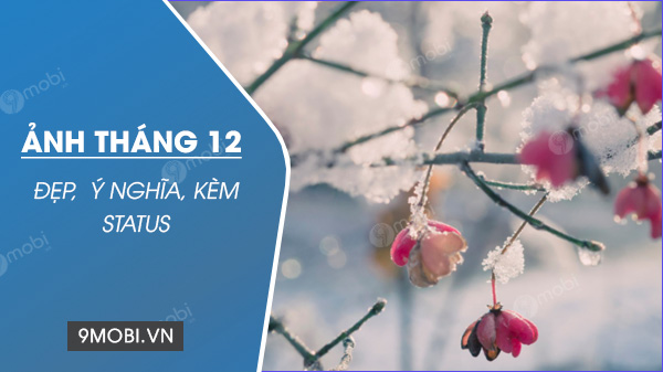 Hình Ảnh Đẹp Chào Tháng 12