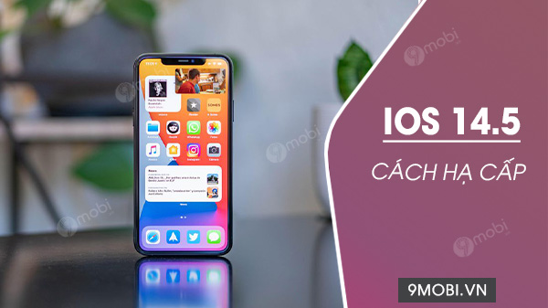 Ios 18.5: Your Last Chance To Downgrade Is Gone! - 9m59b40