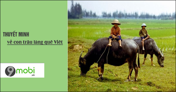 Hình ảnh con trâu trong đời sống tinh thần