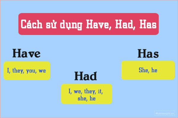 Cách Dùng Have: Bí Quyết Nắm Vững Động Từ Quan Trọng Nhất Trong Tiếng Anh