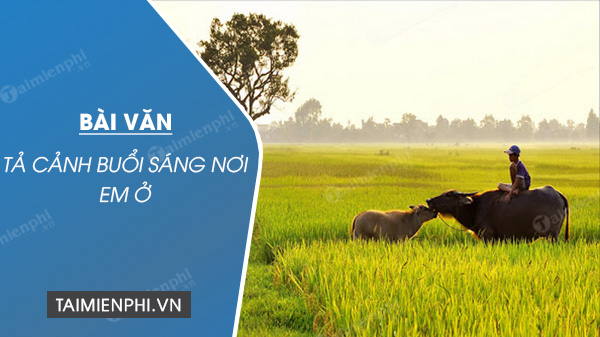 Bài văn tả cảnh buổi sáng: Những khoảnh khắc tuyệt vời bắt đầu ngày mới