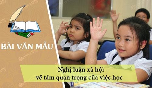 Nghị Luận Về Việc Học: Tầm Quan Trọng, Ý Nghĩa Và Ảnh Hưởng Sâu Rộng