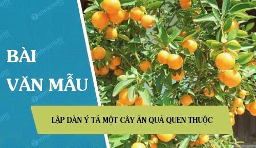 Dàn ý tả cây xoài lớp 7