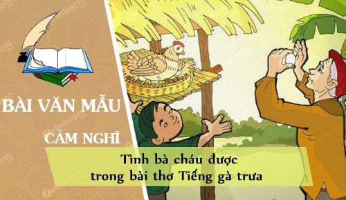 Nghị Luận Về Thực Phẩm Bẩn: Hiểm Họa Đe Dọa Sức Khỏe Và Cách Phòng Ngừa