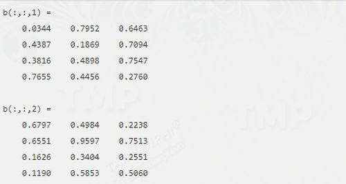 Declaring Arrays in MATLAB