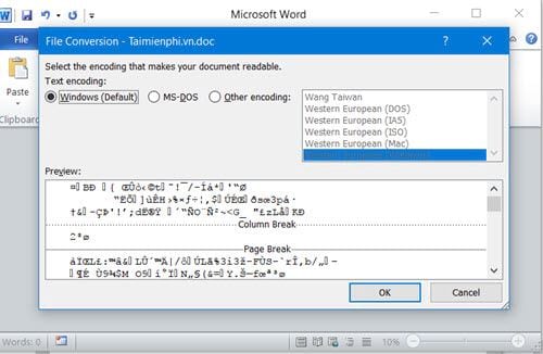 Encountering Word File Conversion Error