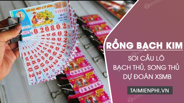 Chốt Rồng Bạch Kim - Đặc Điểm, Ứng Dụng và Lợi Ích Sản Phẩm
