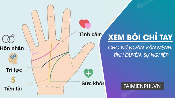 Bói Vân Tay Nữ - Khám Phá Bí Mật Từ Những Đường Chỉ Tay