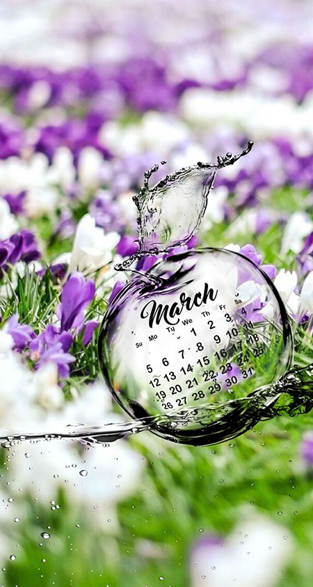 Beautiful and Impressive Images Welcoming March with Style and ...