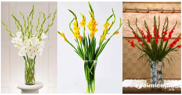 Is it acceptable to worship Hoa Lay ơn?