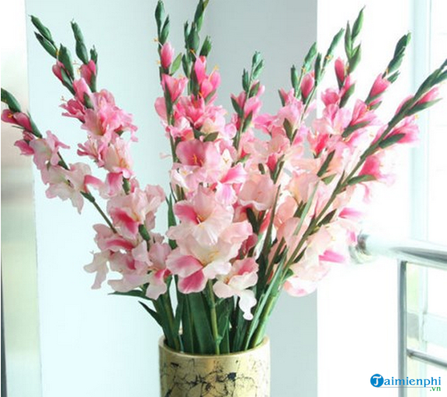 Is it acceptable to worship Hoa Lay ơn?