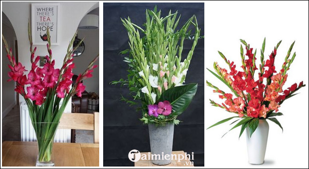 Is it acceptable to worship Hoa Lay ơn?