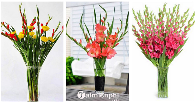 Is it acceptable to worship Hoa Lay ơn?