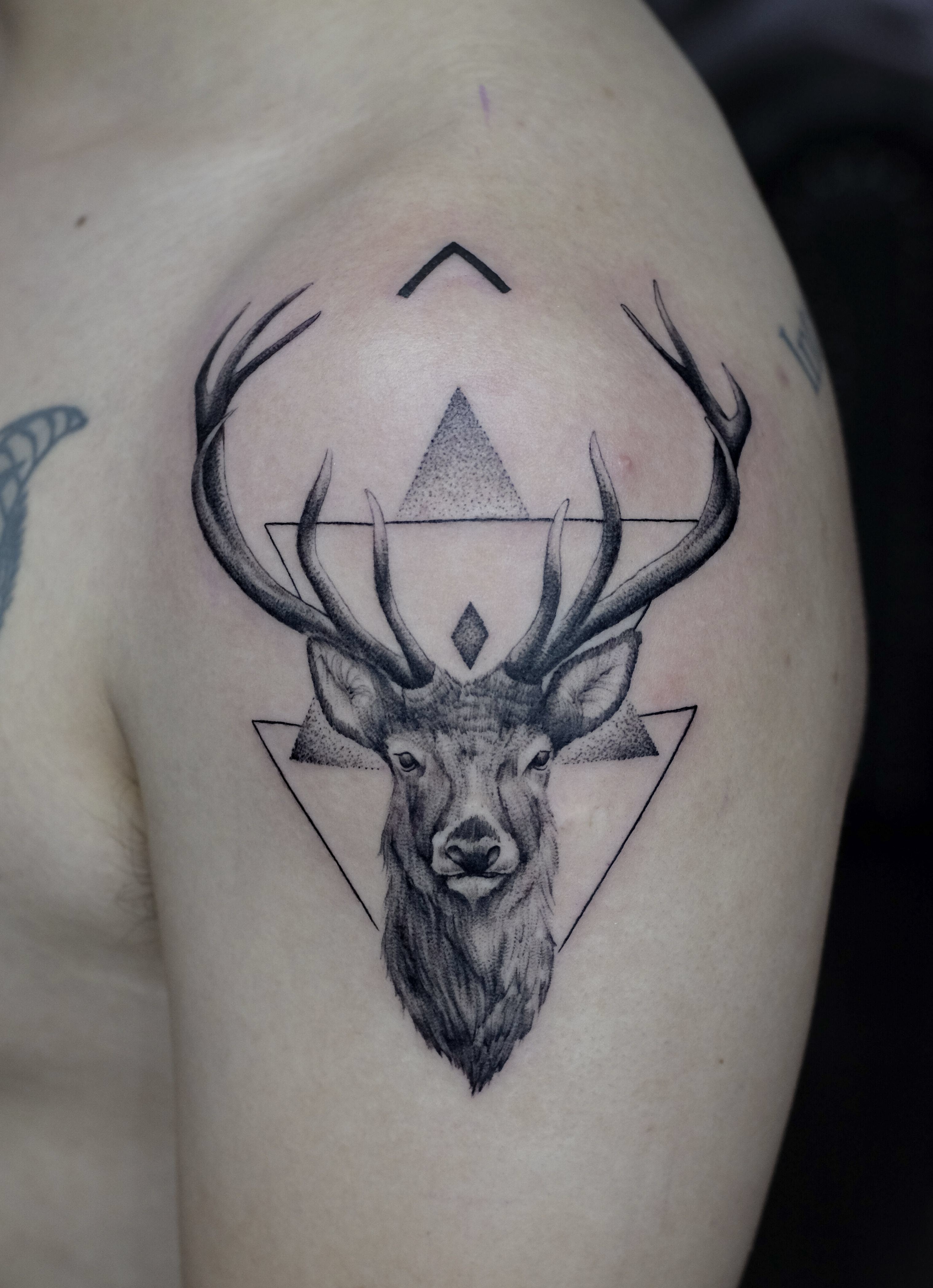 Simple Stag and Roses Tattoo Design by kirstynoelledavies on DeviantArt
