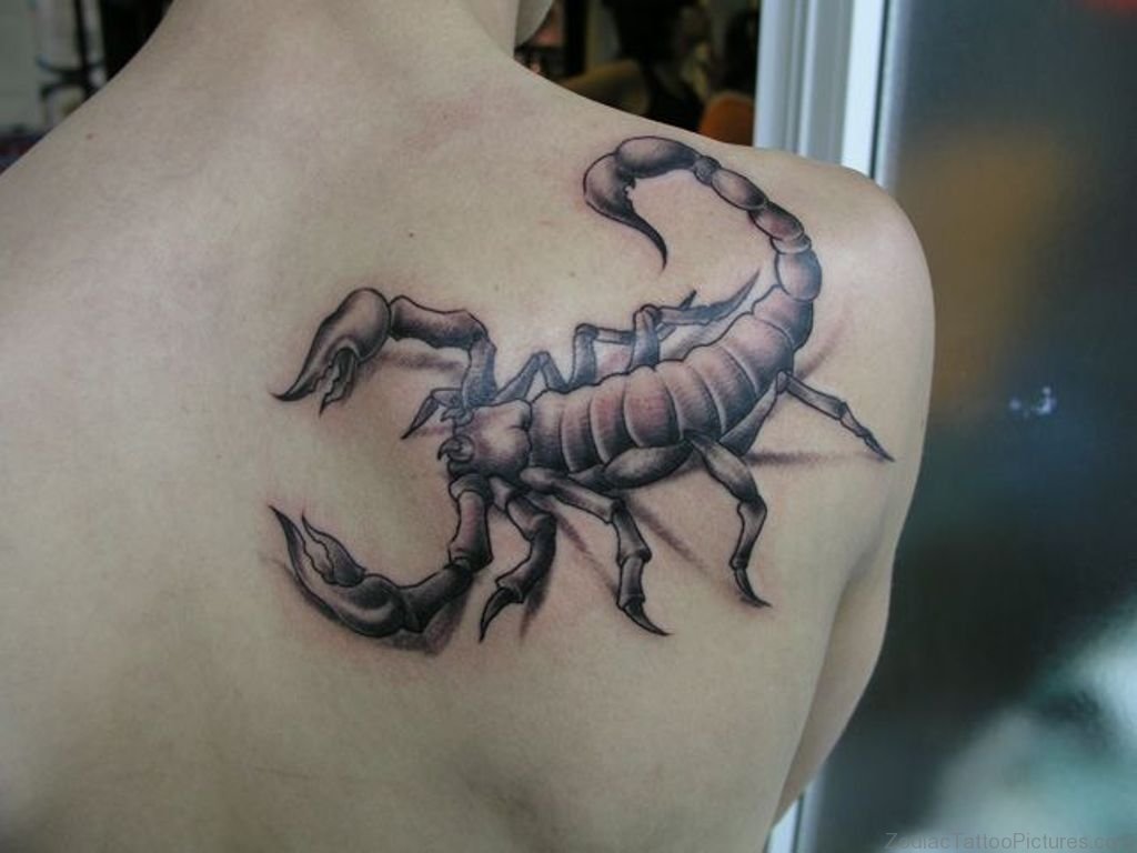 Scorpion Tattoo by Skyler Del Drago : Tattoos