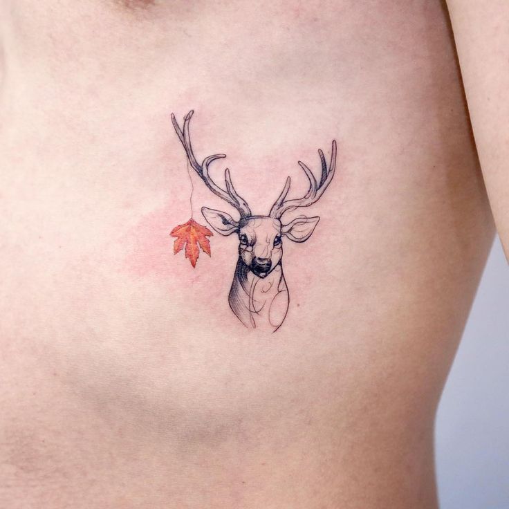 Deer tattoo on the calf, by Seoeon.