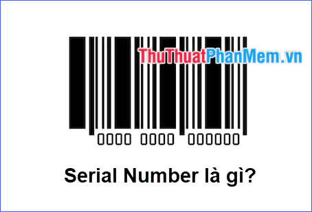 What Exactly is a Serial Number?