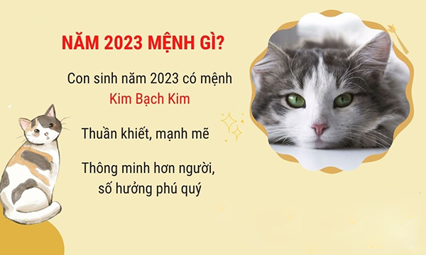 7. Các Tháng Sinh Tốt Nhất Trong Năm 2023