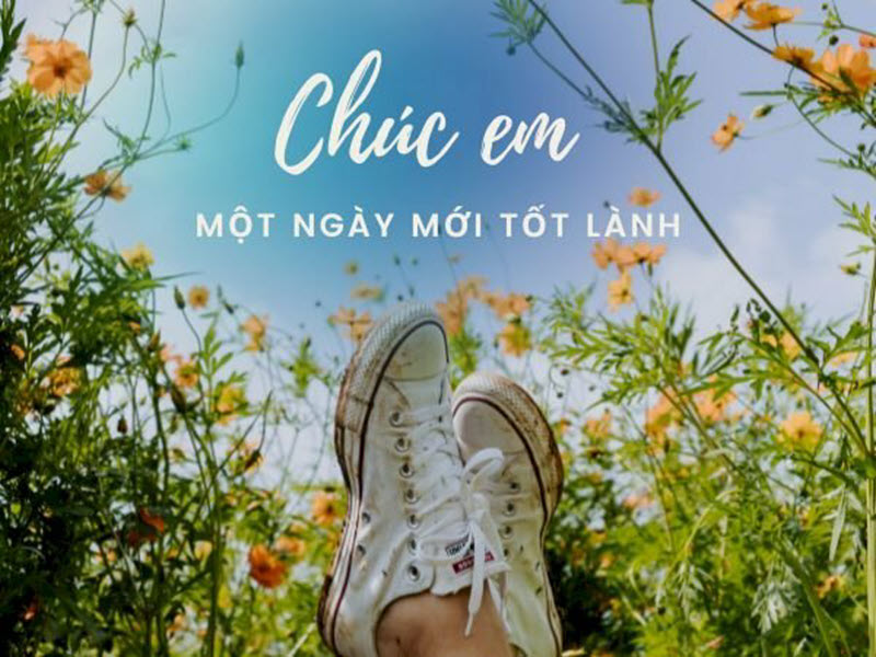 Tải hình ảnh chúc ngày mới đẹp lung linh