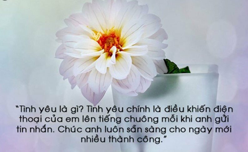 Tải hình ảnh chúc ngày mới đẹp lung linh