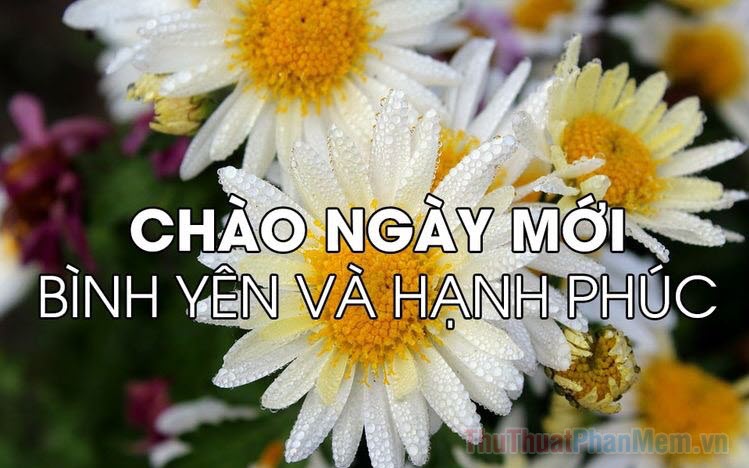 Tải hình ảnh chúc ngày mới đẹp lung linh