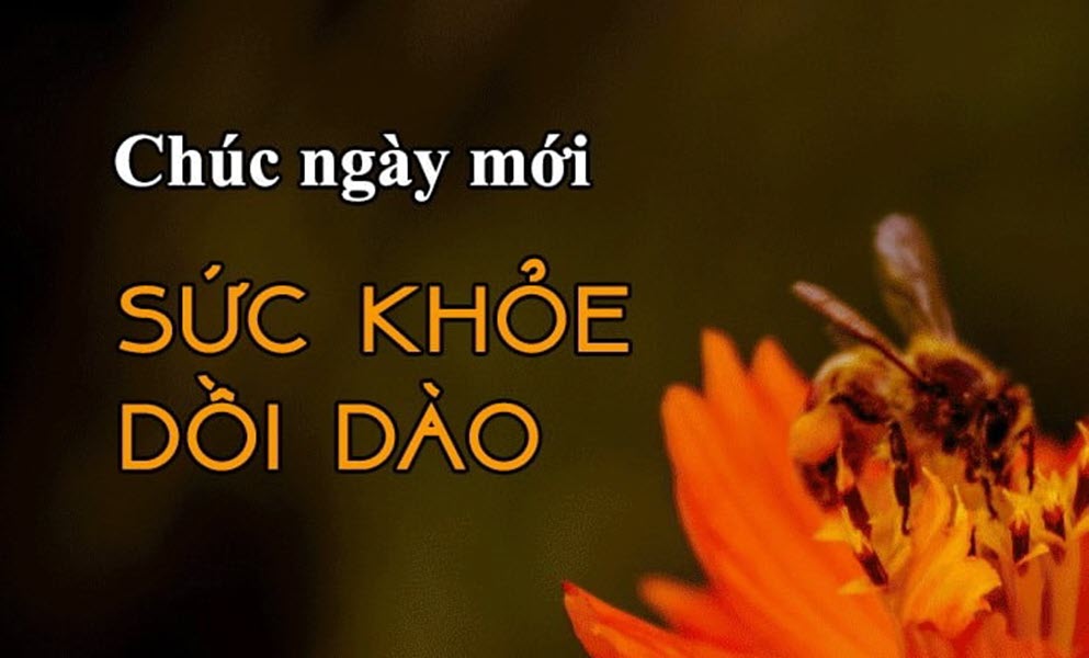 Tải hình ảnh chúc ngày mới đẹp lung linh