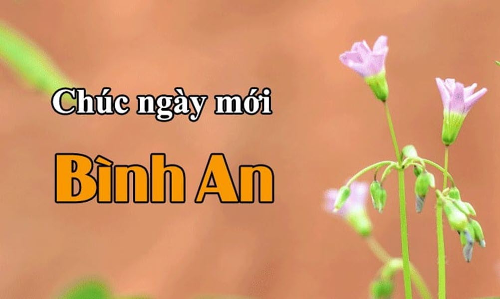 Tải hình ảnh chúc ngày mới đẹp lung linh