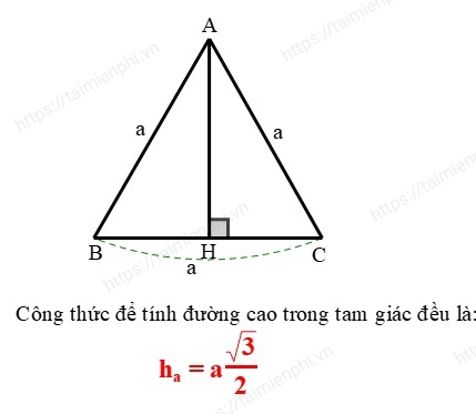 Phương pháp tính đường cao trong tam giác cân, tam giác đều và tam giác vuông