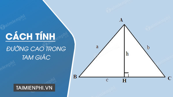 Phương pháp tính đường cao trong tam giác cân, tam giác đều và tam giác vuông