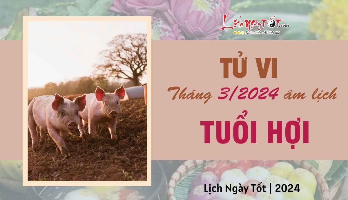 Tử Vi Tháng 3 Tuổi Quý Hợi: Dự Đoán Chi Tiết và Lời Khuyên May Mắn