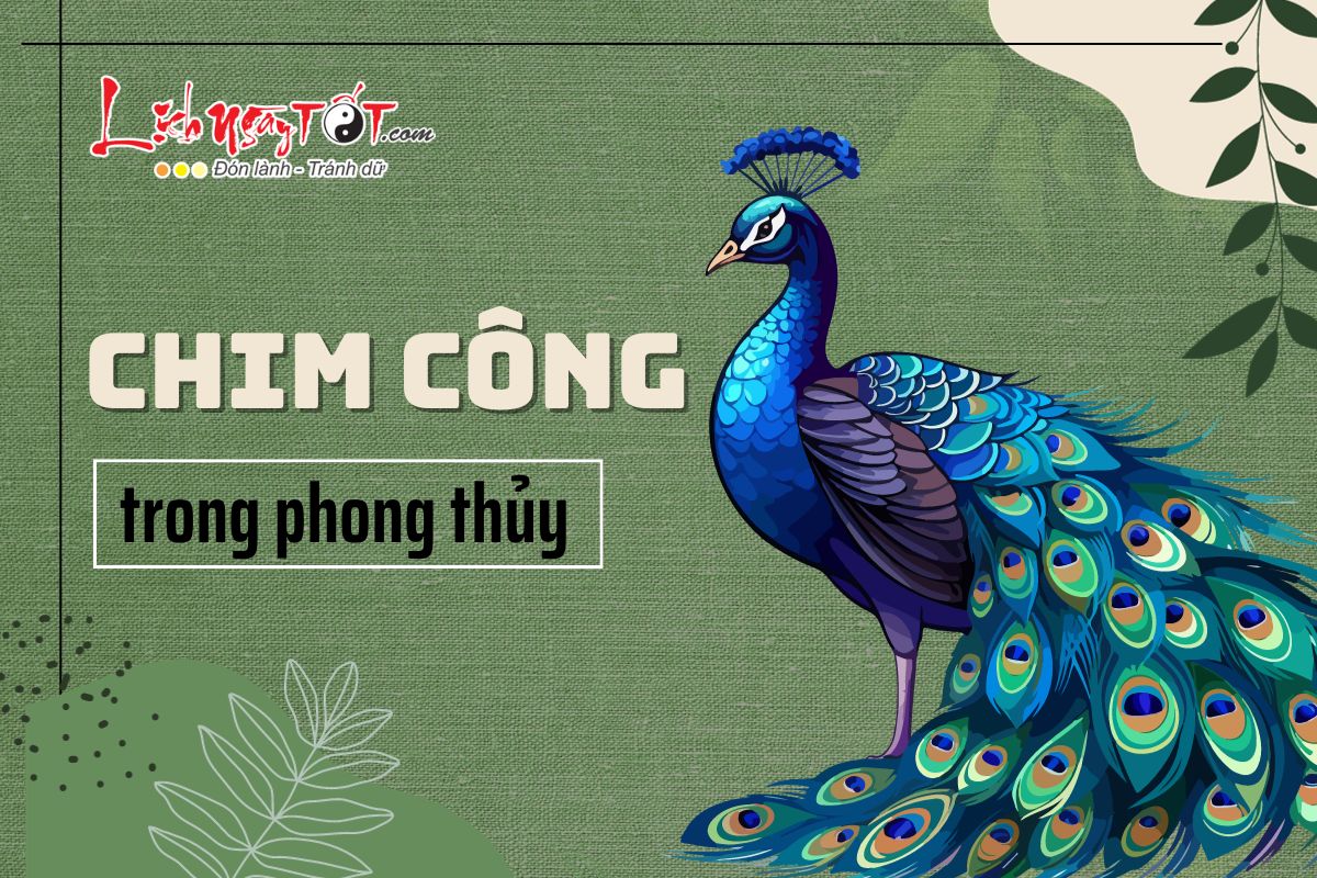 Lợi ích của chim công trong phong thủy và tài lộc thịnh vượng