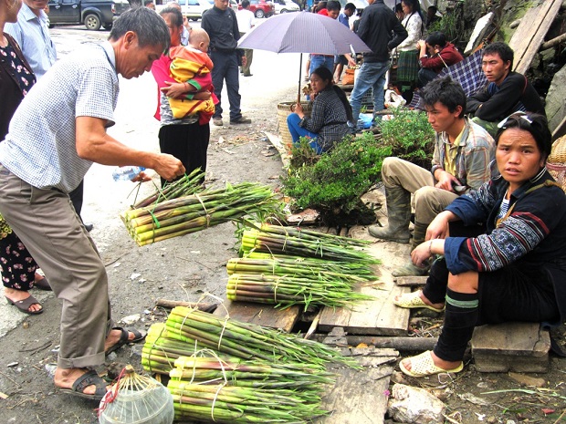 Khám phá hành trình du lịch Tây Bắc tháng Tám