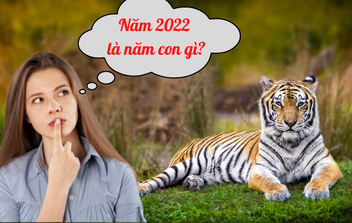 Năm 2022 là năm con gì và mệnh gì? Khi nào là thời điểm sinh con trong năm 2022 là tốt nhất?
