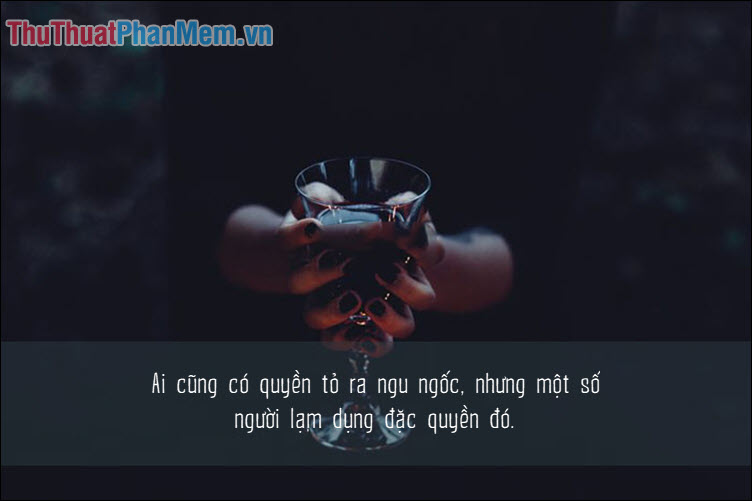 Những câu châm ngôn về sự ngu ngốc và thông minh