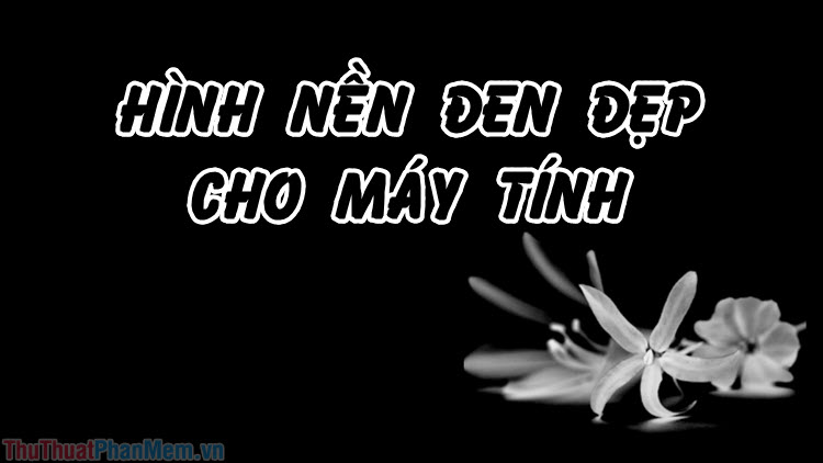 Hình nền đẹp màu đen cho máy tính