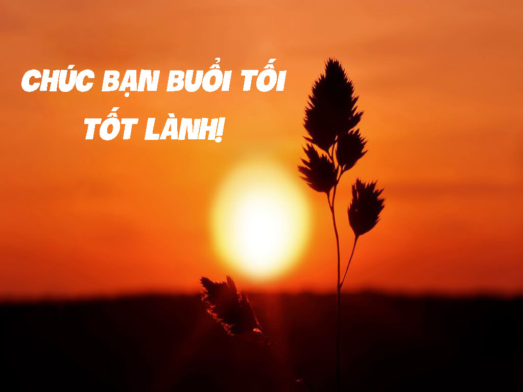 Chúc mọi người có một buổi tối tràn đầy hạnh phúc