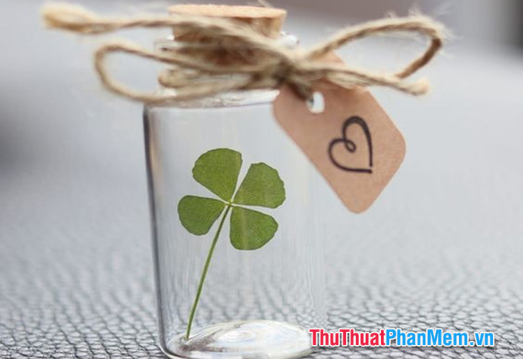 Bí kíp may mắn giúp bạn tự tin vượt qua kỳ thi