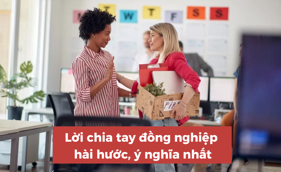 Danh sách những lời tạm biệt đồng nghiệp độc đáo, ngắn gọn, hóm hỉnh và ...