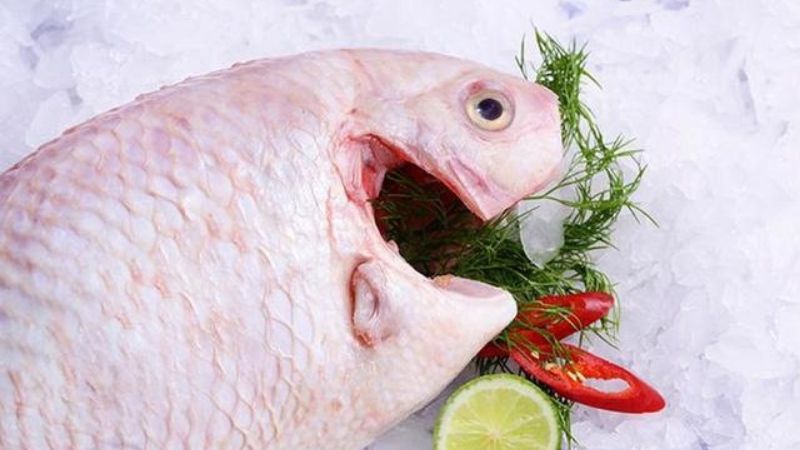 Calo trong 100g cá diêu hồng là bao nhiêu? Ăn cá diêu hồng có béo không?