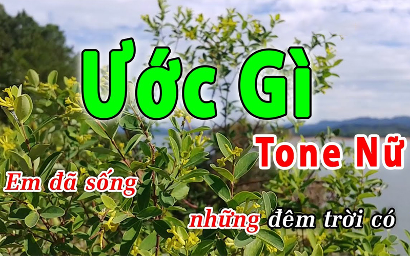 Danh sách 70 ca khúc karaoke phù hợp với giọng nữ thấp được yêu thích nhất