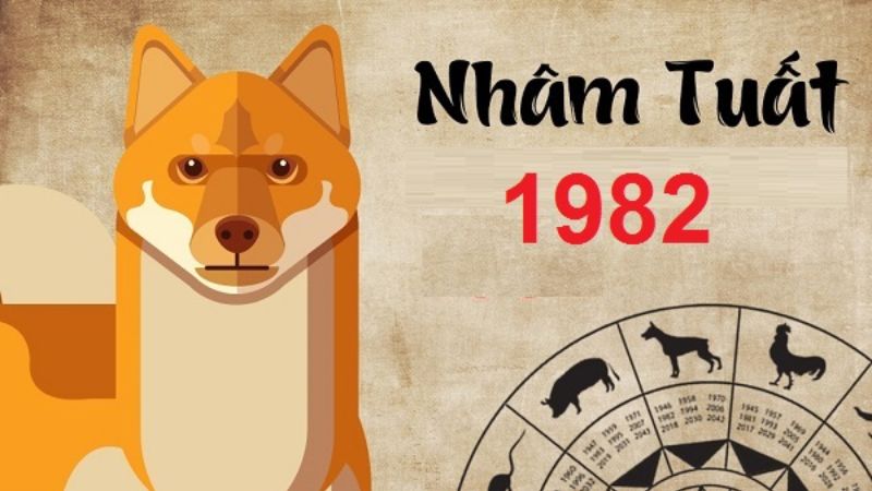 Nhâm Tuất 1982 thuộc mệnh nào? Tuổi này hợp với mệnh nào, màu nào?