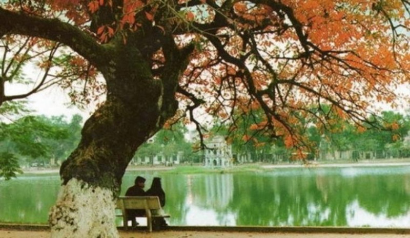 15 bài thơ về mùa thu tuyệt vời, sâu sắc và chạm đến trái tim