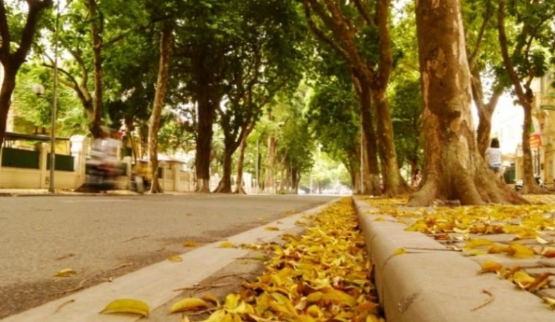 15 bài thơ về mùa thu tuyệt vời, sâu sắc và chạm đến trái tim